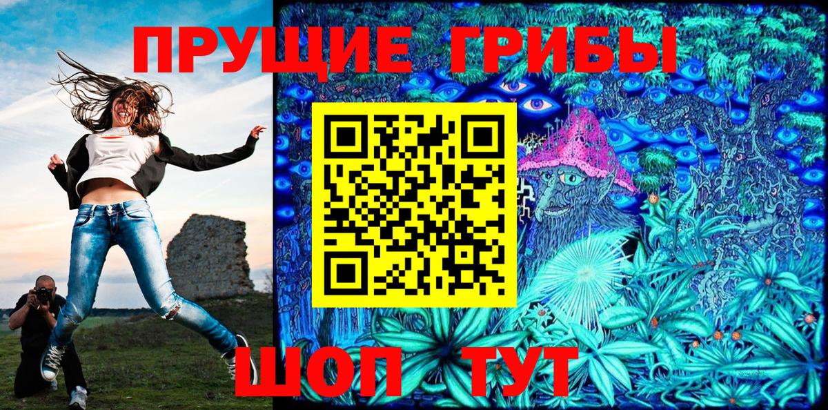 Галлюциногенные грибы Psilocybe  Вход с VPN  Ишим  Галлюциногенные грибы мицелий 